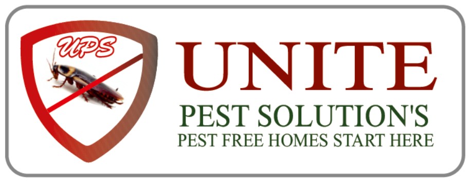pest control service lucknow